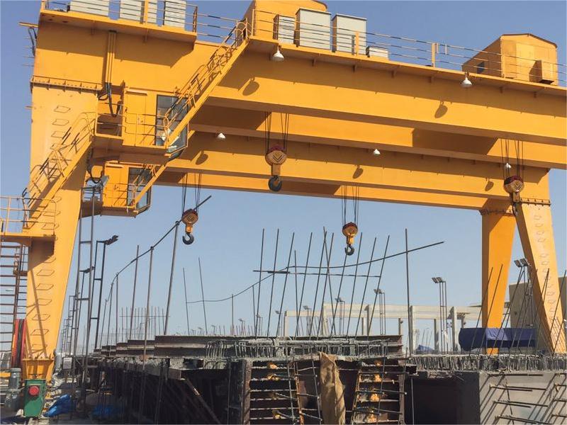 sevencrane-rail mounted gantry crane 2